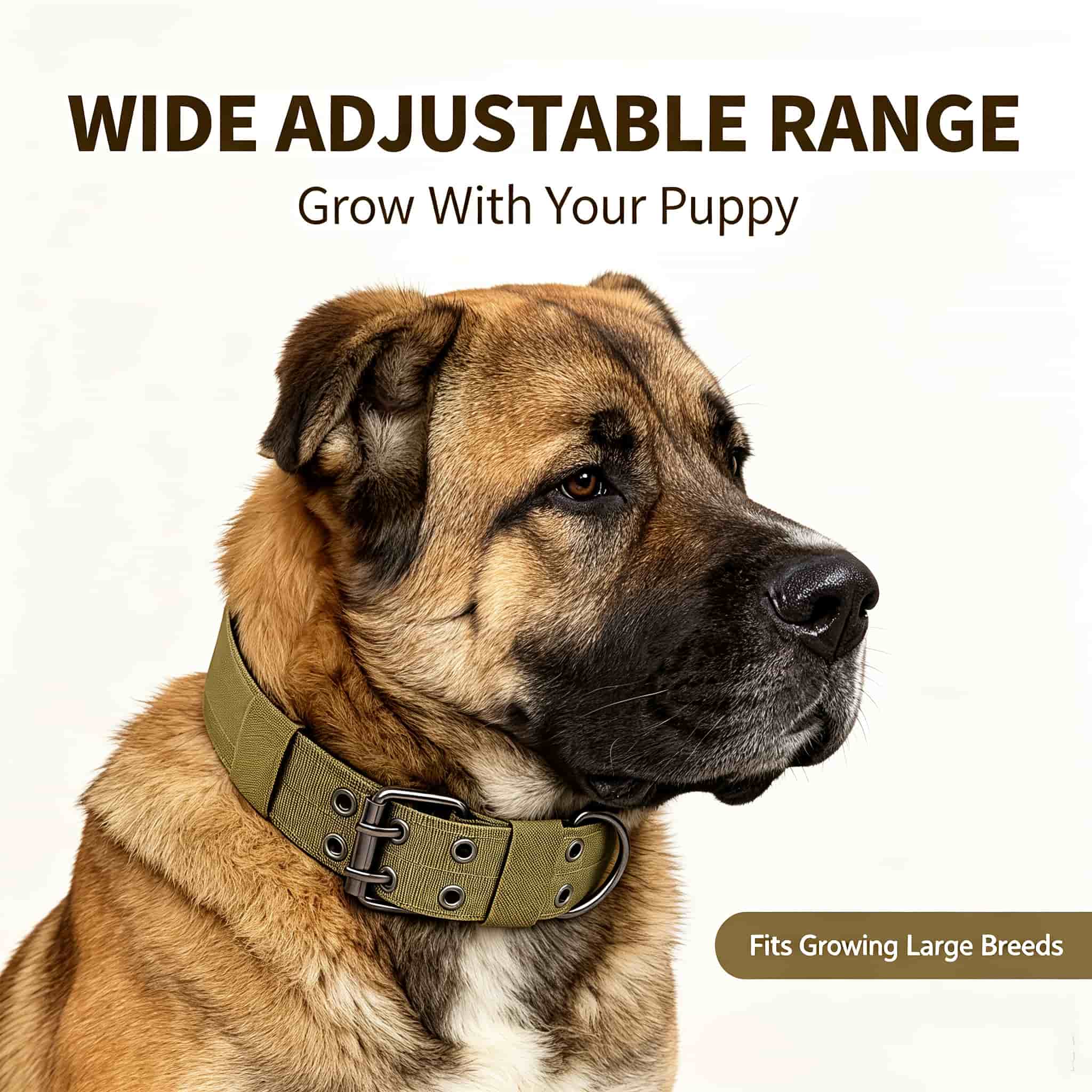 Camo Tactical Dog Collar Heavy - đánh giá và giá Outdoor Hunting Dog Collar