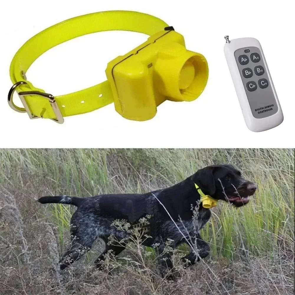 Updated Waterproof Hunting Dog - đánh giá và giá Outdoor Hunting Dog Collar