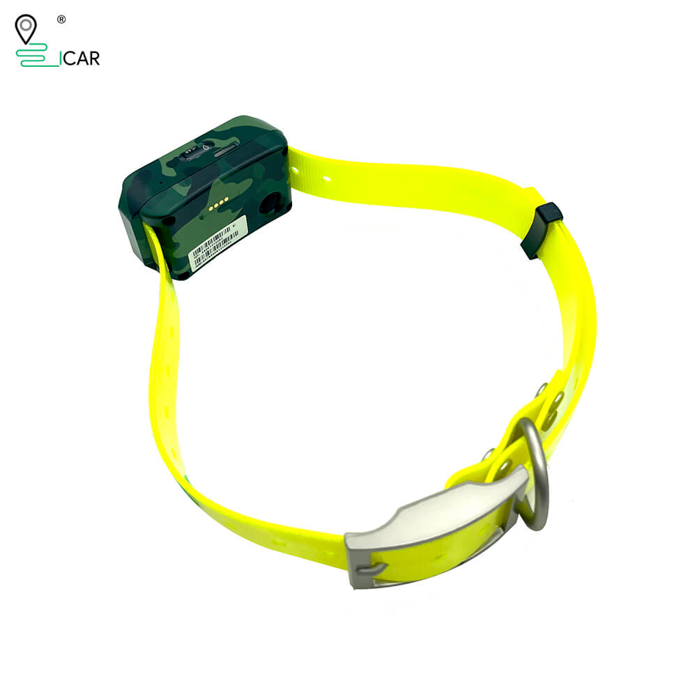 ICAR IK122M 2000mah Dog GPS Co - đánh giá và giá Outdoor Hunting Dog Collar